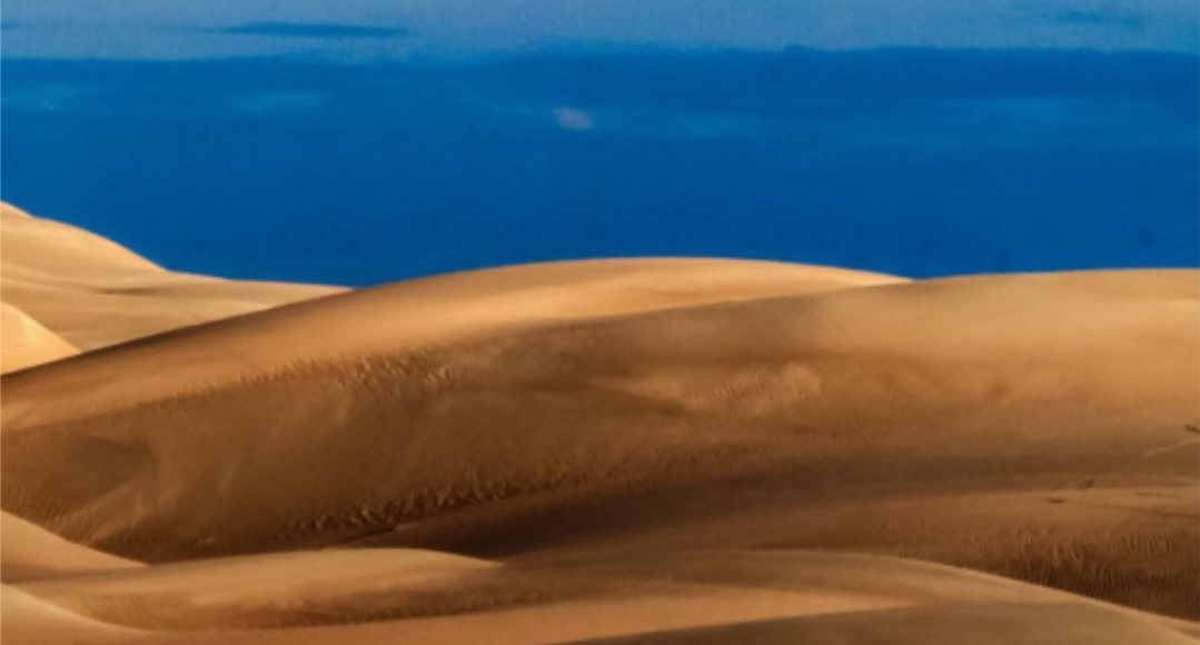 Oceanos, Praias e Dunas uma história ambiental