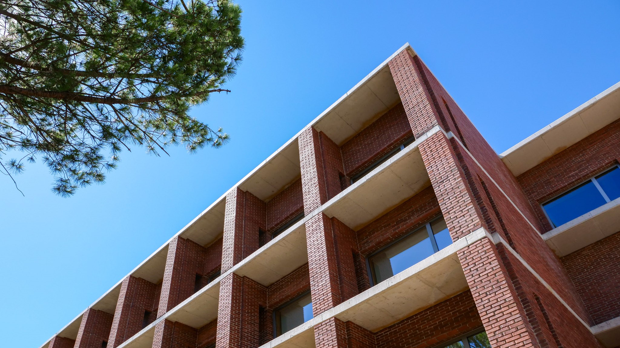 CIES calls for applications for 6 Research Assistants in the area of Social Sciences